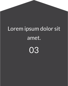 Lorem ipsum dolor sit amet. 03