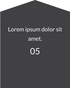 Lorem ipsum dolor sit amet. 05