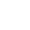 HOLZ